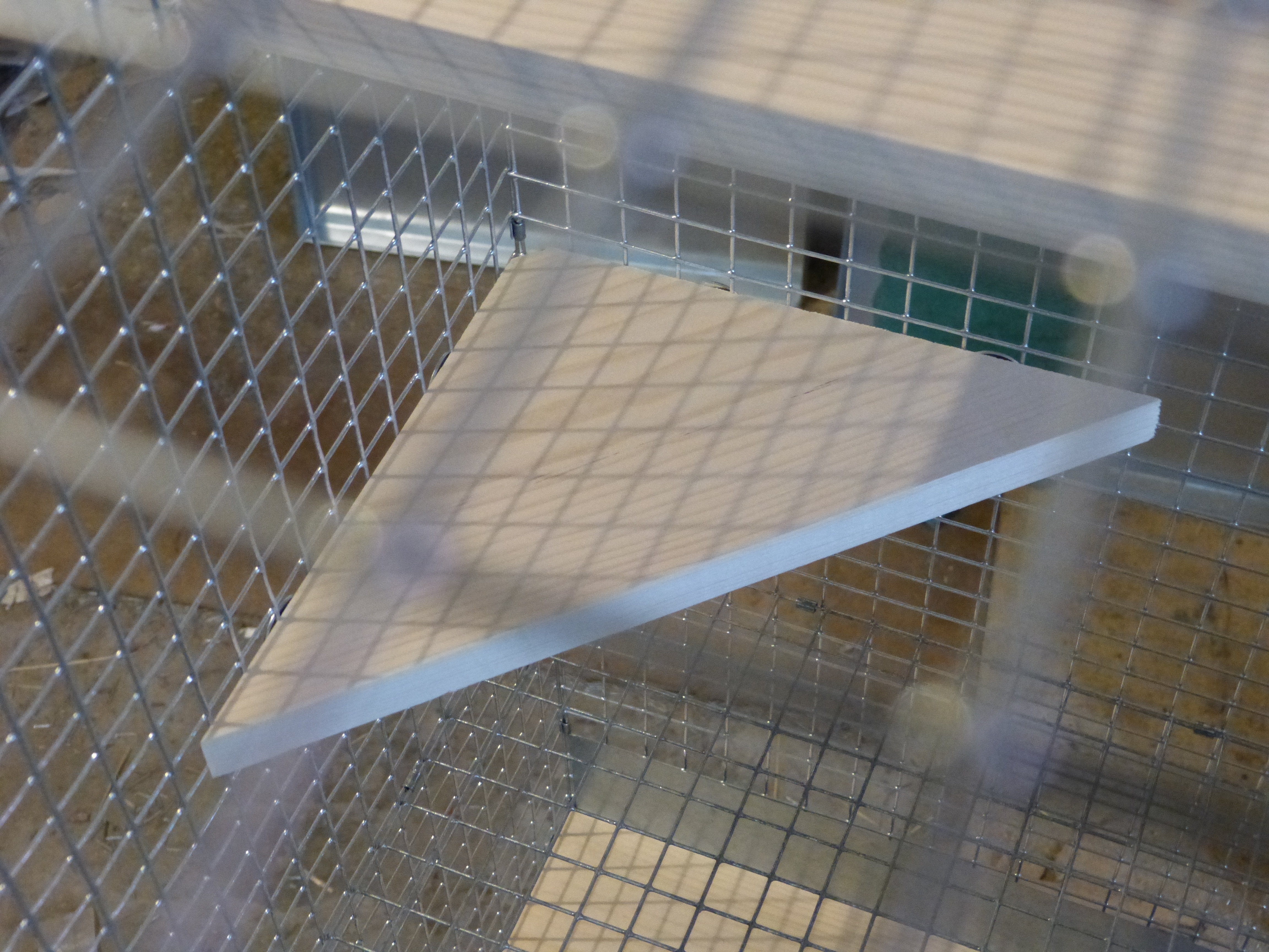 corner
                  shelf