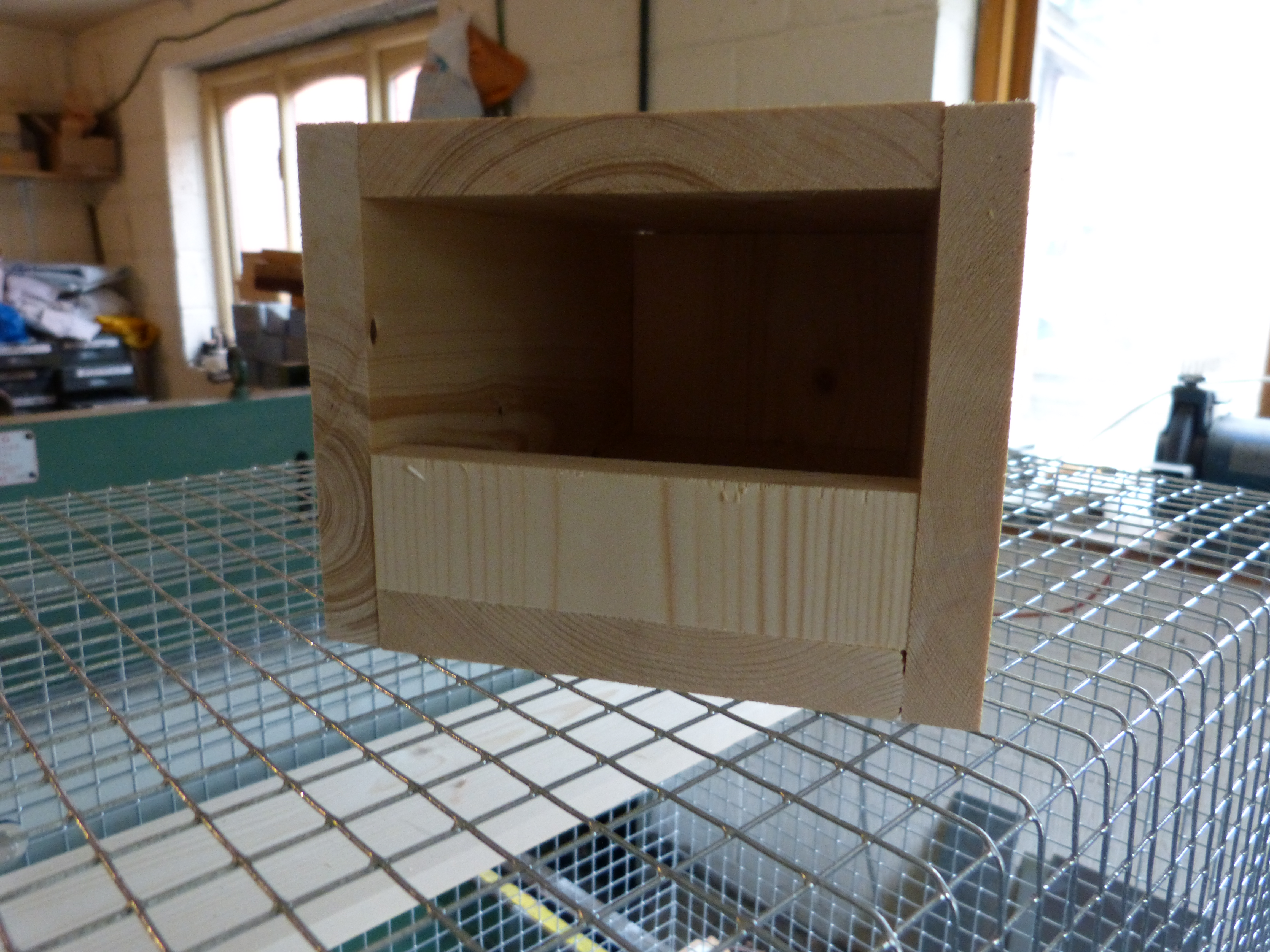 nestbox4